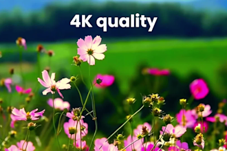 edit dynamic short videos for tiktok and shorts
