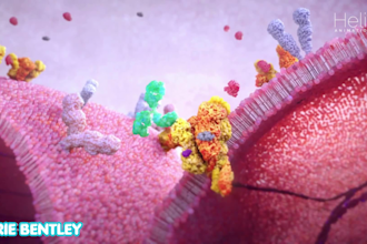 create 3d antibody binding protein interaction and moa animation