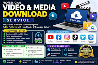 provide professional upload and download service