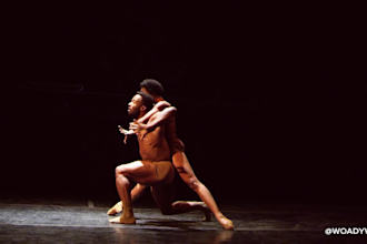 create amazing ballet choreography dance group ballet dance video for your song