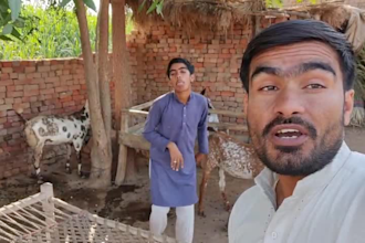 sing funny happy birthday video song or happy birthday video wish