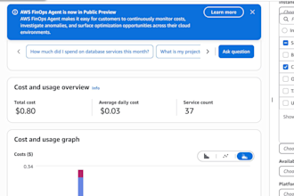 do AWS cost optimization and audit
