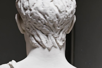 create 3d sculpting 3d bust 3d model using zbrush 3ds max autodesk maya