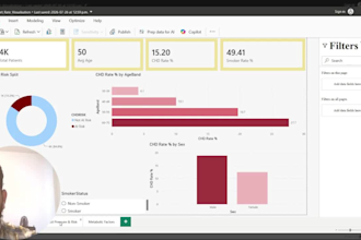 create professional power bi dashboards and visualizations