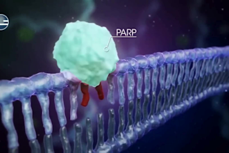 create 3d medical oncology pharmaceutical moa animation