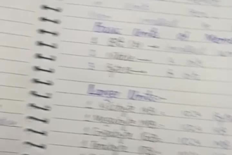 write neat handwritten notes, letters, and assignments in english