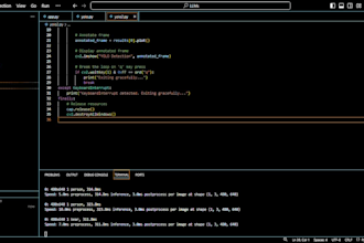 fix python bugs, debug code, and solve python programming issues