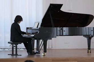 give professional online piano lessons from beginner to advanced