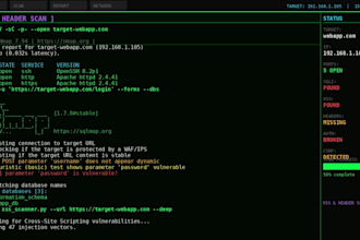 do penetration testing and web security audit trusted by lenovo vdp