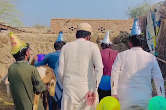 do happy birthday video or happy birthday video