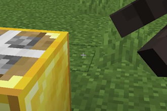 edit minecraft shorts for you
