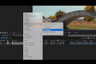 do professional rotoscoping and green screen removal for videos