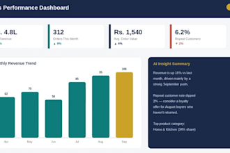 build a business dashboard or excel tracker with data insights