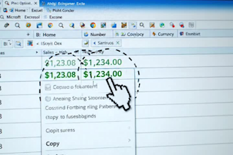 excel data entry specialist with over five years of experience