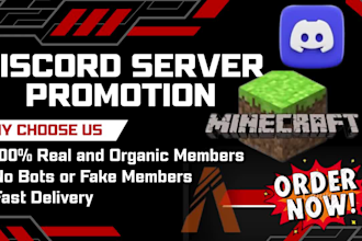 discord promotion, minecraft server, fivem, rust, dayz gaming server promotion
