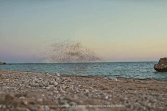do vfx, 3d compositing, and visual effects in after effects