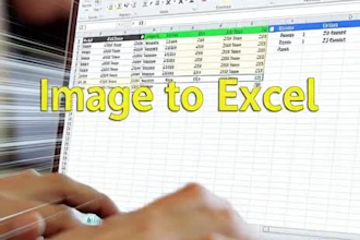 fast and accurate data entry and excel work