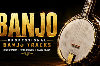 record a professional and nice banjo on your song