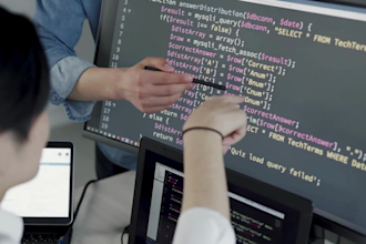 do sql data analysis, write queries and provide insights