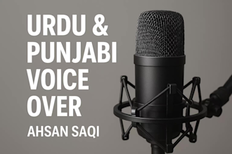 do professional urdu and punjabi voice over for your project