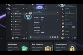 setup your professional discord server