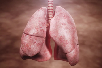 create 3d medical animation, anatomy animation, and biomedical explainer video