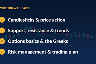 teach you technical analysis, price action, stock trading and options trading