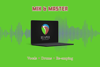 mix, master and edit your song professionally