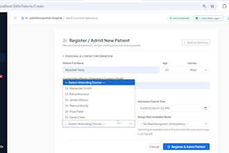 develop a custom asp net core web application in dot net