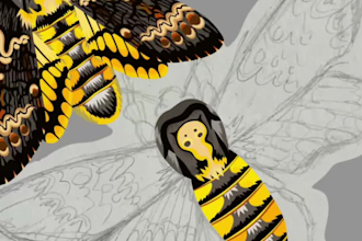 create wildlife vector art
