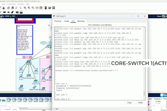 do cisco packet tracer ccna projects, ospf,vlan,acl,dhcp,dns,troubleshooting