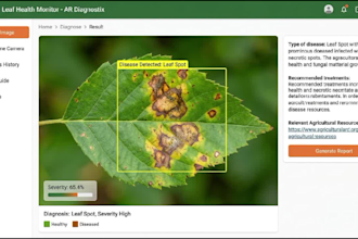 develop computer vision and image classification, ocr system