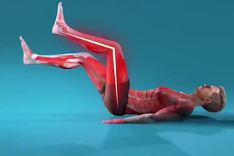 create workout an fitness animation, anatomy of body building, 3d gym animation