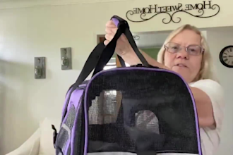 create an authentic ugc video ads for your pet products