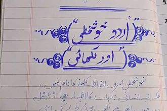 professional calligrapher and handwriting expert