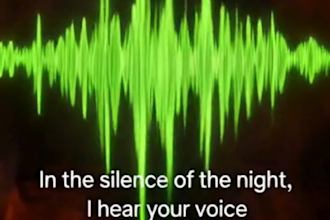 deliver professional metal vocals and recording