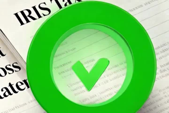prepare financial statements and ledgers for iris tax audit