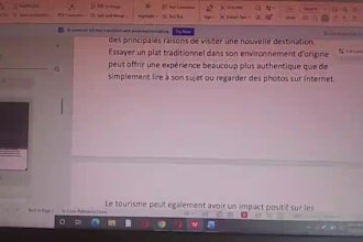 do professional manual translation in multiple languages