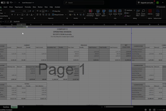 reconcile accounting data, fix excel formulas, and audit spreadsheets