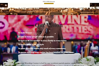 design a professional website for you on wix