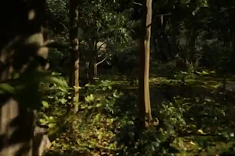 create professional low poly and high poly 3d models