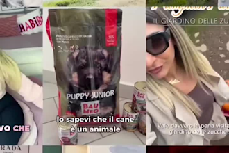 create italian ugc videos for tiktok and instagram