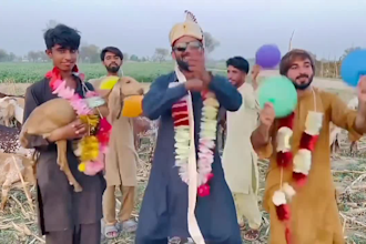 african happy birthday video african happy birthday video