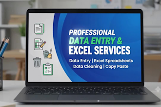 do professional data entry and excel copy paste