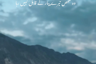 edit aesthetic sad urdu poetry reels for instagram , tiktok