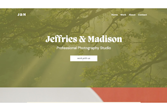 review your website and provide expert design feedback