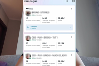 set up and manage your advertising campaign on meta, facebook and instagram