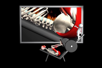 create realistic 3d workout, exercise, gym and fitness animation videos