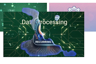 provide custom software back office and crm support