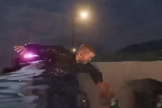 create stunning 3d animations inspired by zack d films